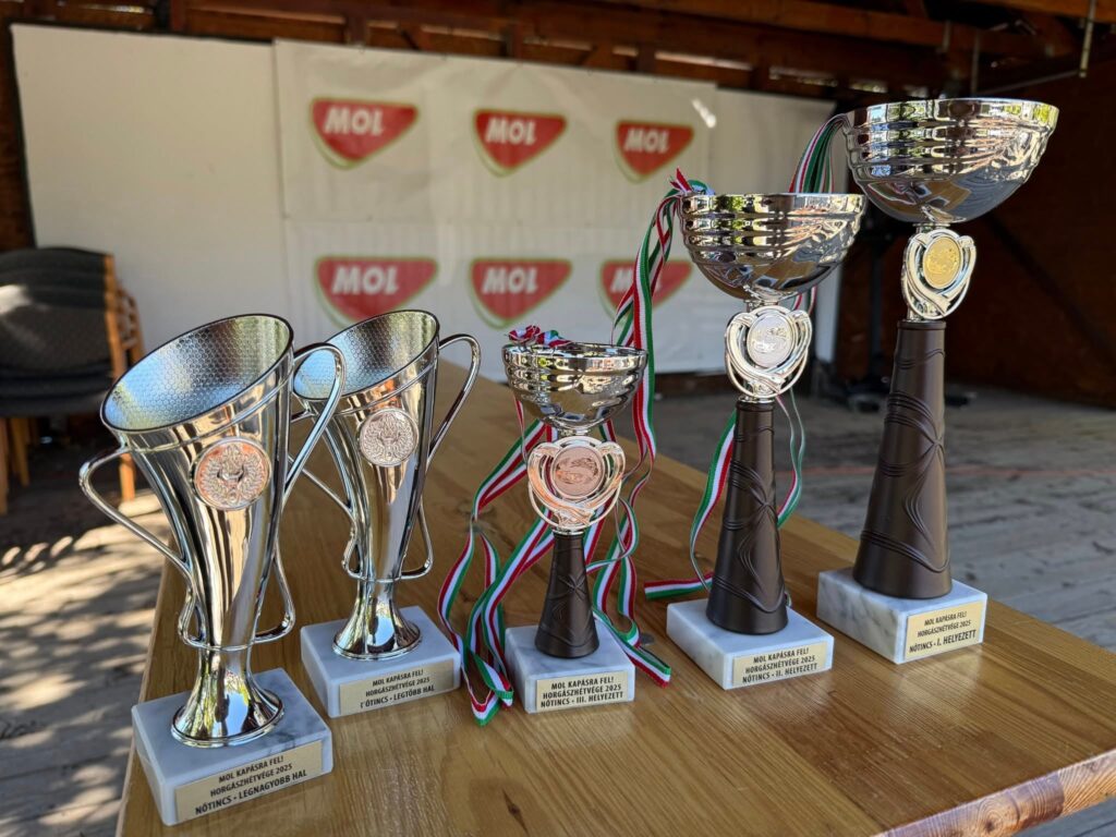 0d2a7b66-d127-4358-b3d6-ed875ee79f23