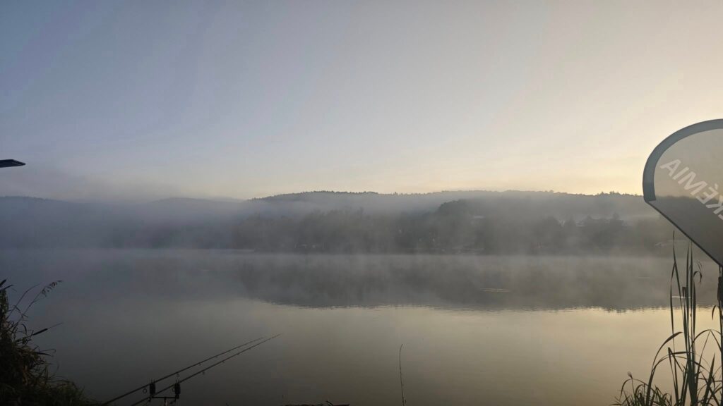 1ee8dd00-de67-4812-99df-0dd98a119e35