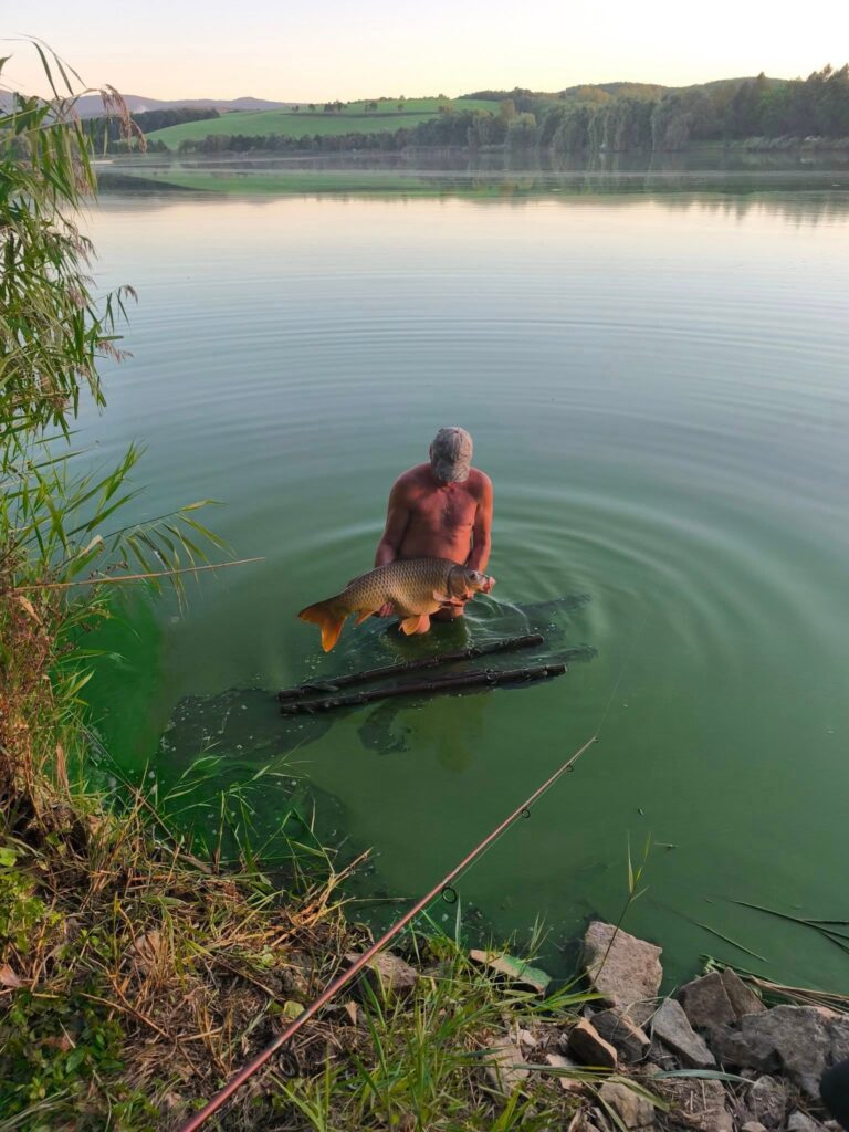 f77e32a1-8805-4c08-9698-2525589c2c28