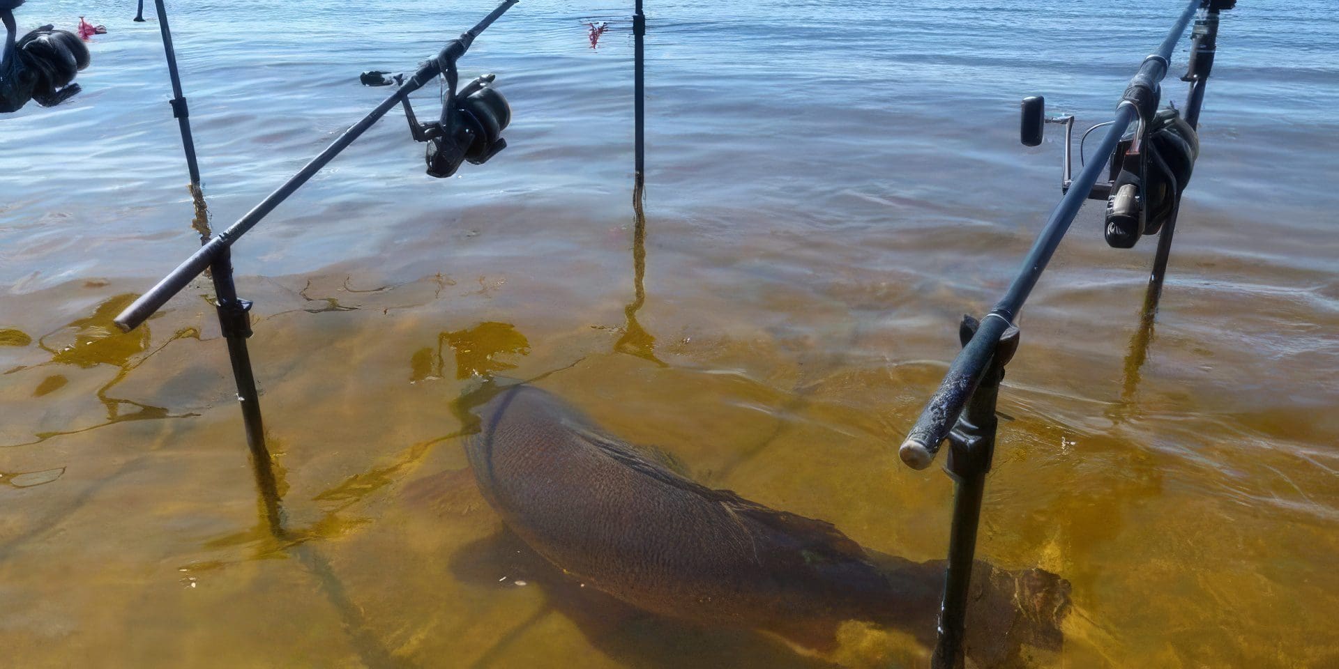 fishing